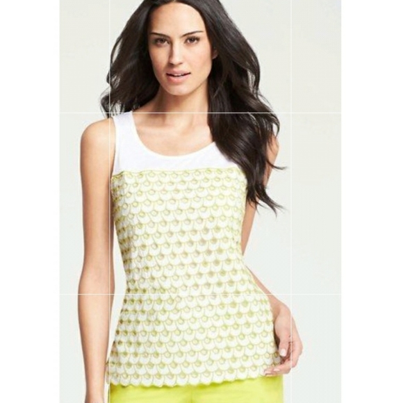 Ann Taylor Circular Embroidered Eyelet Shell - Picture 1 of 13